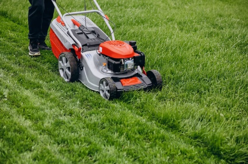Importance of Professional Lawn Care Services