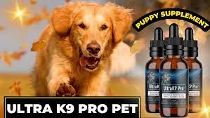 Unleash the Potential with Ultra K9 Pro: Your Dog's Best Ally!