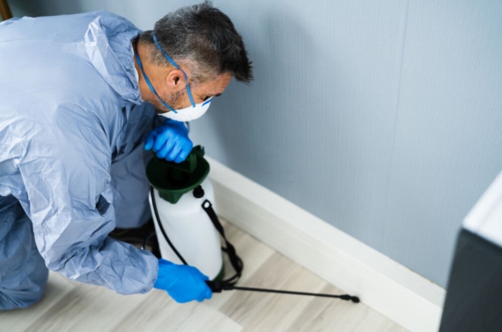 Pest Prevention for Businesses: Safeguarding Your Commercial Space