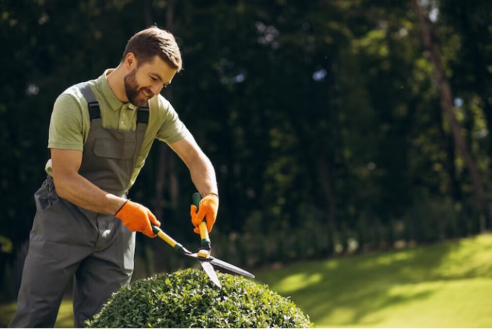Landscaping Rhode Island: Transforming Your Outdoor Space with Natural Beauty