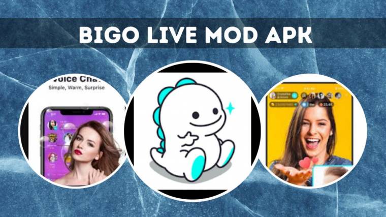 What steps can users take to ensure their privacy and data security when using Bigo Live Mod Apk