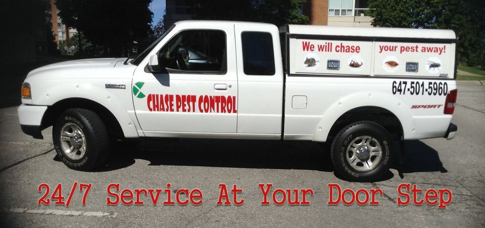 Effective Pest Control Services in GTA: Protecting Homes and Businesses