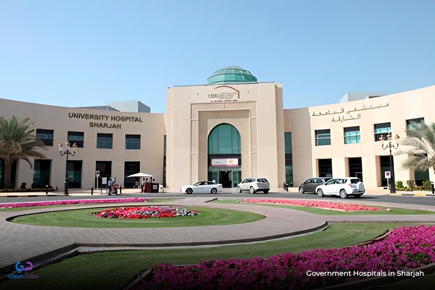 Revive & Thrive: The Government Hospital of Sharjah