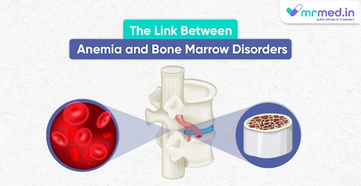 The Link Between Anemia And Bone Marrow Disorders Theamberpost 2556