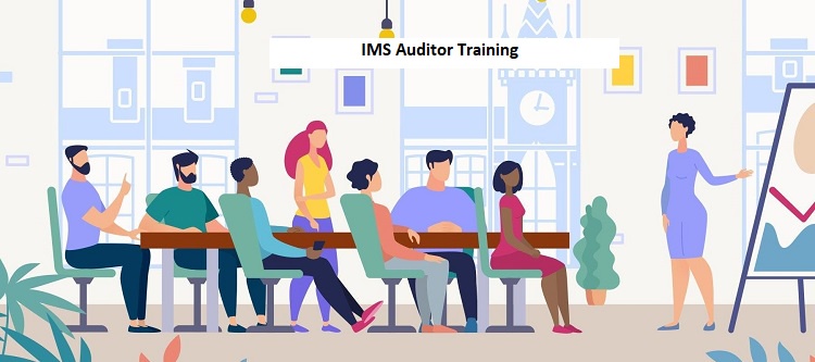 Integrating Success: How IMS Auditor Training Drives Business Excellence
