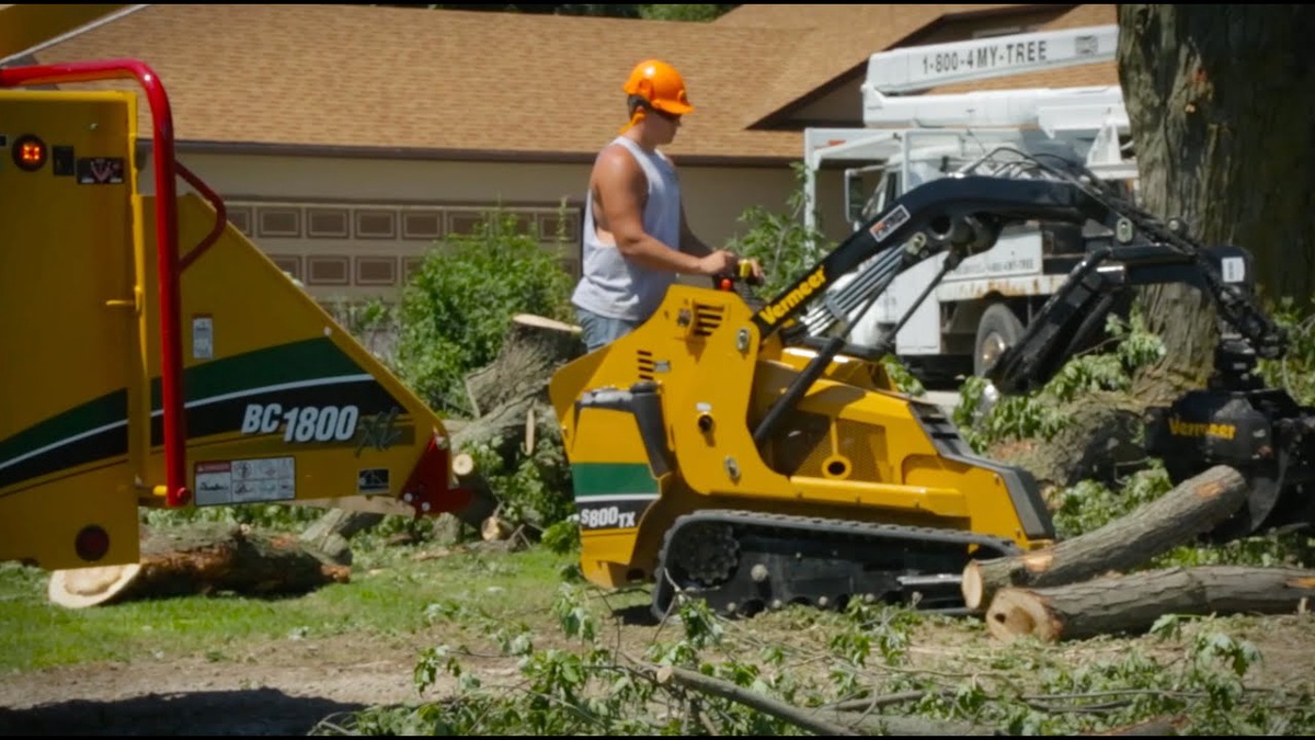 Nurturing Your Landscape: The Essence Of Oklahoma City Tree Service and Tree Removal