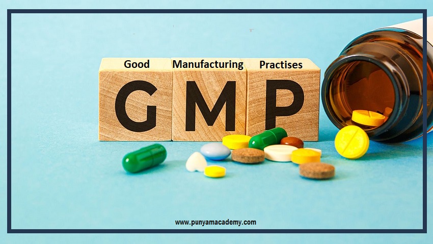 Why is it Important for the Pharmaceutical Industry to Follow Good Manufacturing Practices (GMPS)?