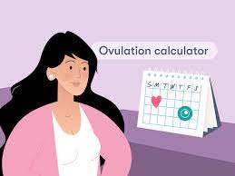 Unlocking the Power of an Ovulation Calculator for Irregular Periods
