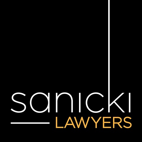 How Litigation Lawyers Shape Legal Landscapes?