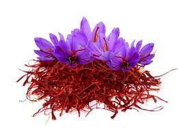 The Enchanting Journey of Kashmiri Saffron: A Tale of Innovation and Tradition
