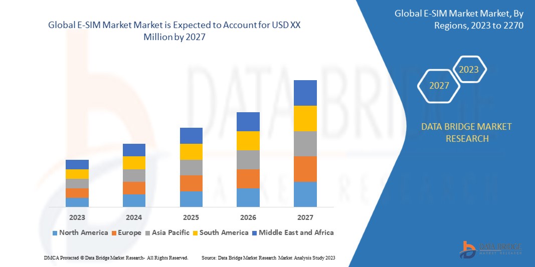 Security and Privacy Considerations in the eSIM Market