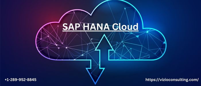 Successful Migration and Implementation of SAP HANA Cloud:
