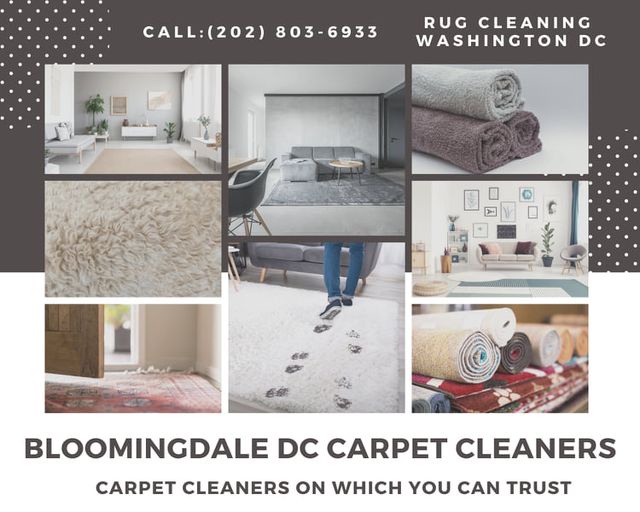 Revitalize Your Home: The Complete Guide to Upholstery Cleaning in DC