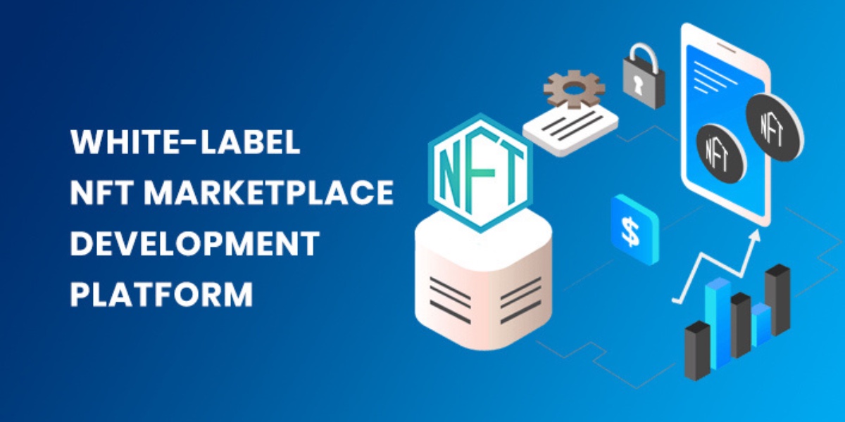 From Vision to Reality: White Label NFT Marketplace Development Explored