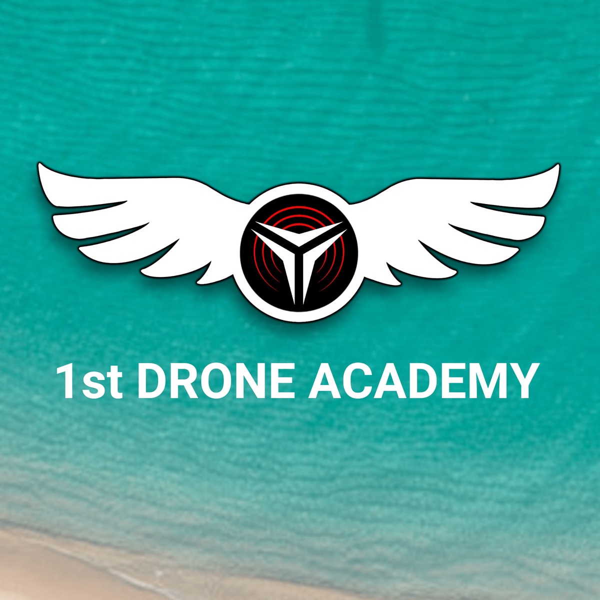 Embark on a Skyward Journey: Choosing the Right Online Drone Training