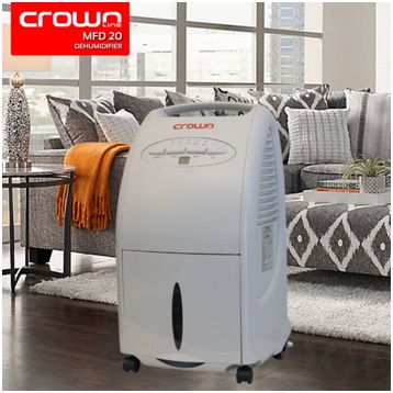 Multifunctional and Smart Dehumidifier: Control Humidity Levels with Ease