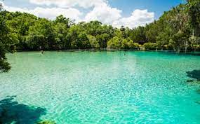 Affordable Accommodations: Cheap Hotels in Ocala, FL