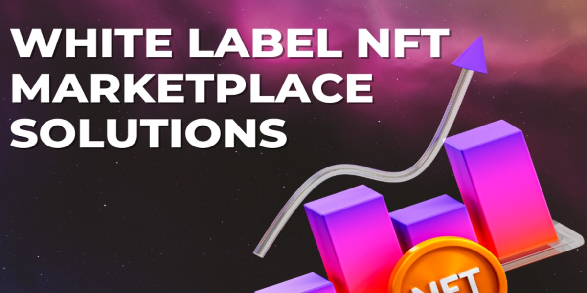 Innovate, Brand, Succeed: A Guide to White Label NFT Marketplace Solutions