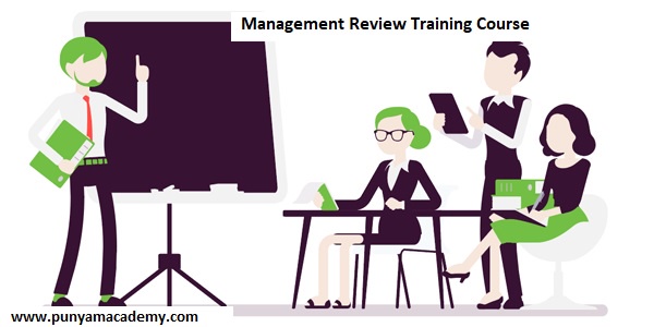 A Brief Overview of Management Reviews for ISO Systems