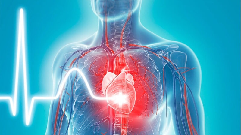 Understanding Heart Health: The Importance of Cardiology in Preventive Care