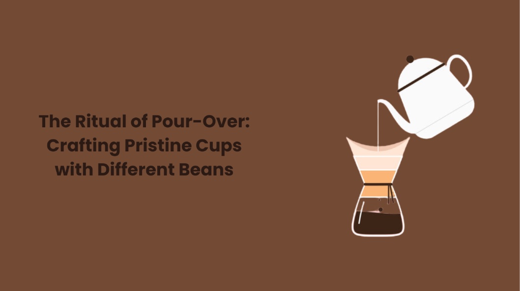 The Ritual of Pour-Over: Crafting Pristine Cups with Different Beans