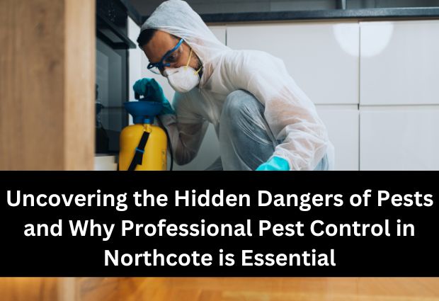 Uncovering the Hidden Dangers of Pests and Why Professional Pest Control in Northcote is Essential