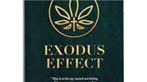 Who Ought to Purchase Exodus Effect?
