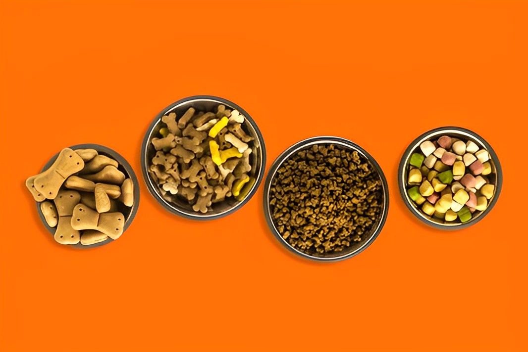 Proper Nutrition for Your Furry Friends: Don’t Let Them Miss Out!