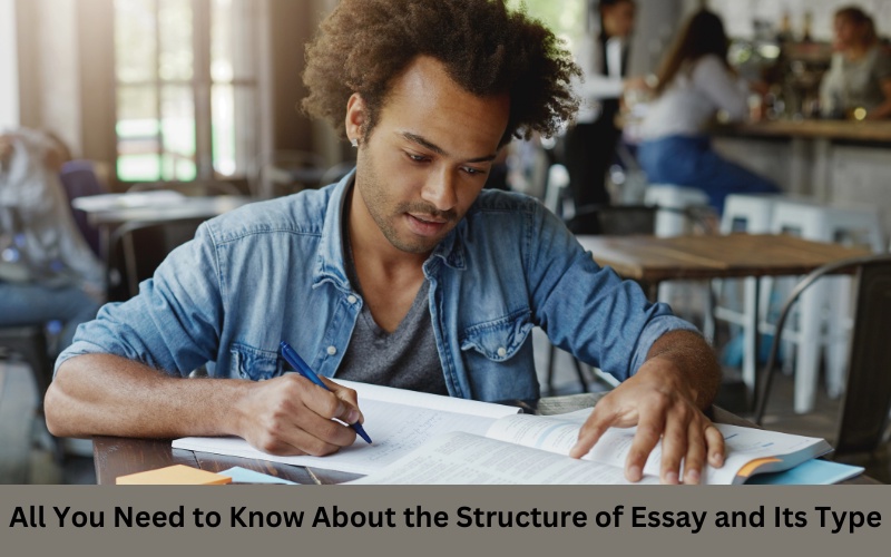 All You Need to Know About the Structure of Essay and Its Type