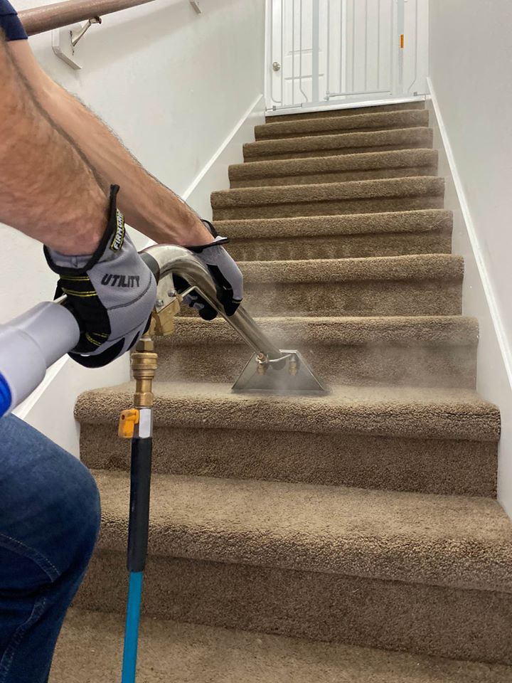 Stain Stories Solved: The Ultimate Carpet Cleaning Handbook