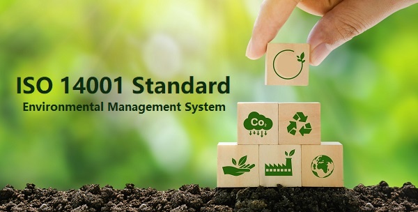 Understand the Procedure and the Process of the ISO 14001 Environment Management System