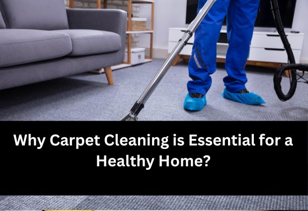 Why Carpet Cleaning is Essential for a Healthy Home: Insights from Gold Coast Professionals?