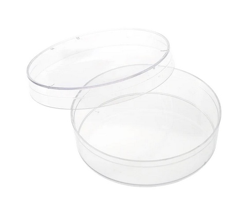 Choosing the Right Celltreat Scientific Products for Your Laboratory Needs