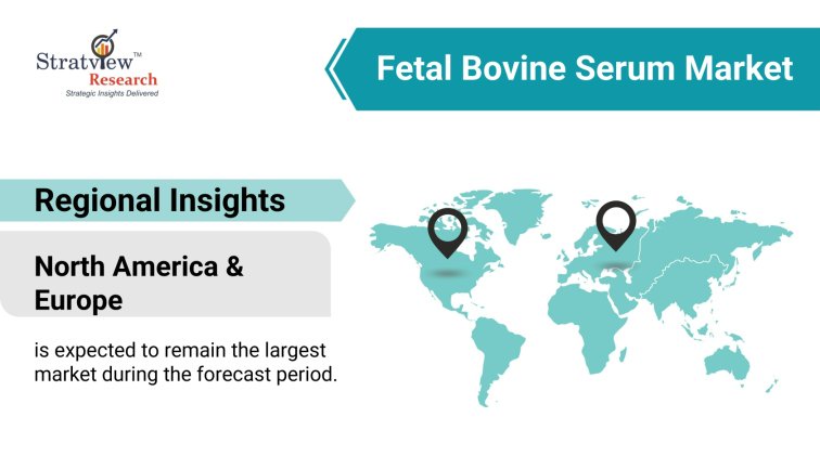 "Navigating the Fetal Bovine Serum Market: Insights into Its Evolution"