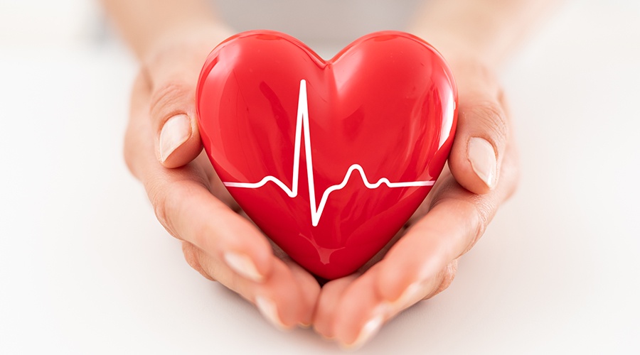 Cardiovascular Health: How to Keep Your Heart in Top Shape