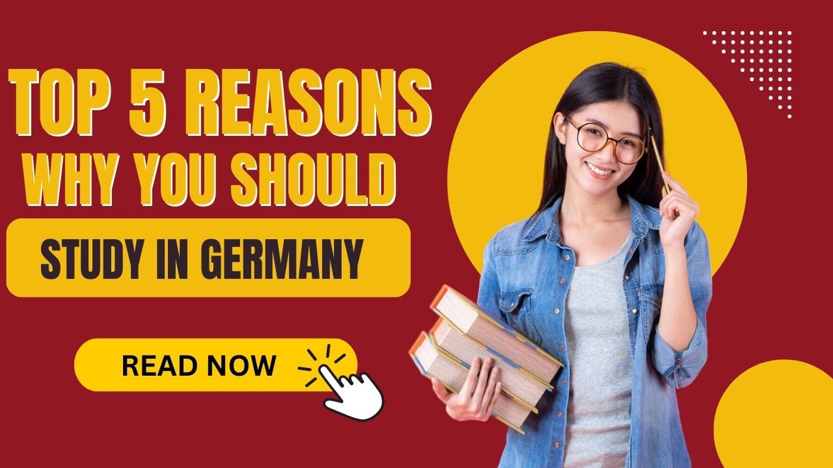 Top 5 Reasons Why You Should Study in Germany