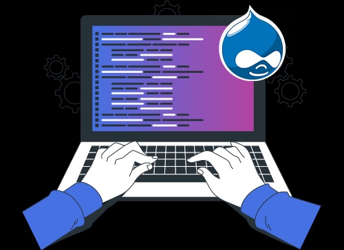 Drupal Development Company in India Tailored To Your Needs