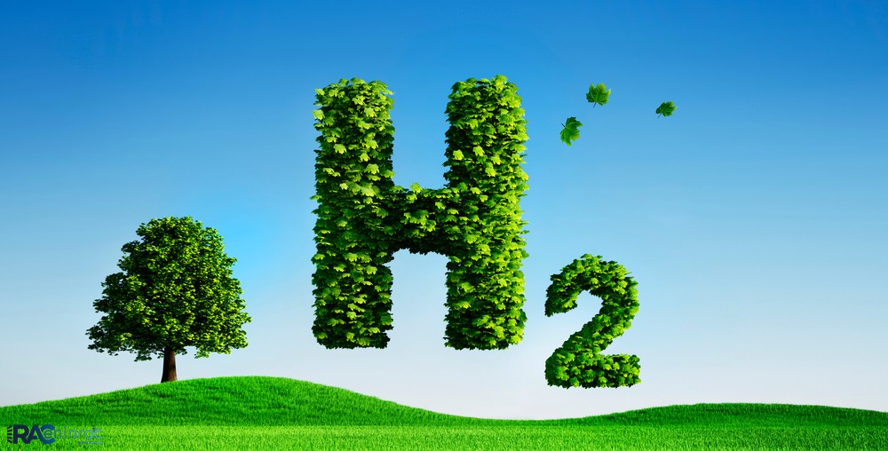 Policy support indexation for development of India as a hydrogen economy