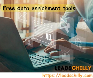 Leads Chilly Free Data Enrichment Tools