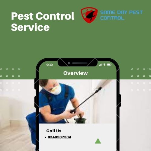 Pests Don’t Stand a Chance: 24-Hour Extermination Service