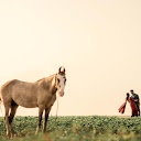 The Connection Between Music and Wedding Photography Vibes