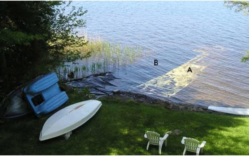 Effective Aquatic Weed Control: Lake Bottom Blanket's Solution to Killing Lake Weeds