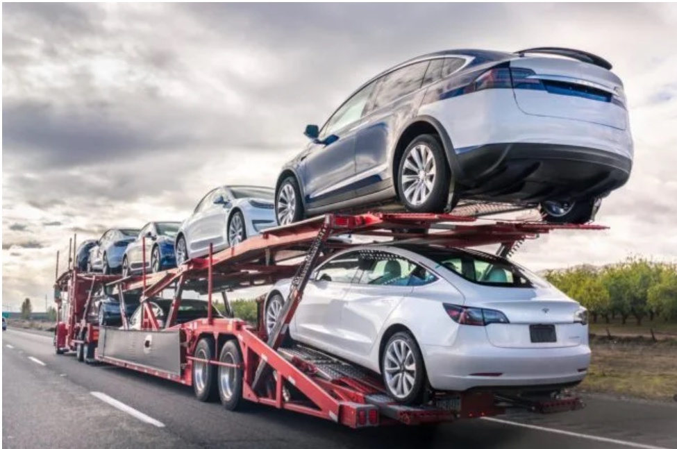 Navigating the Road Ahead: The Art and Science of Vehicle Shipping
