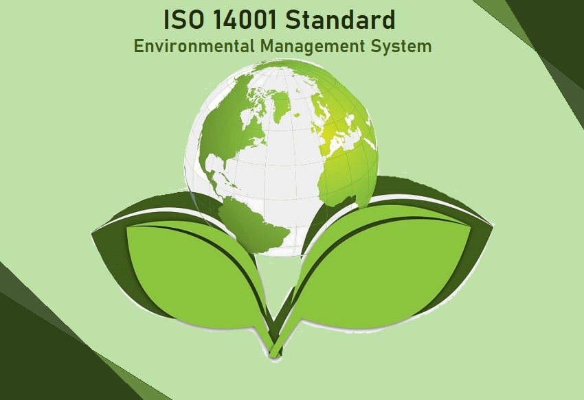 Which EMS Responsibilities Would the Company Need to Define by ISO 14001 EMS Standard?
