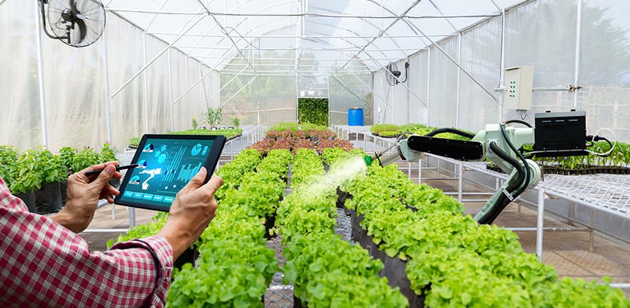 Direct Sales Platforms: Farming Apps to the Rescue