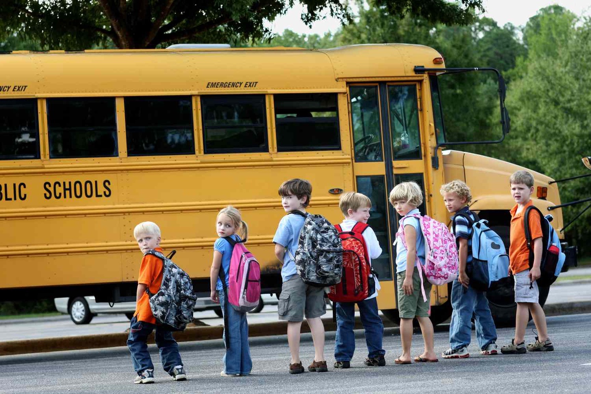 School Transportation Services: Ensuring Safe and Reliable Journeys for Students