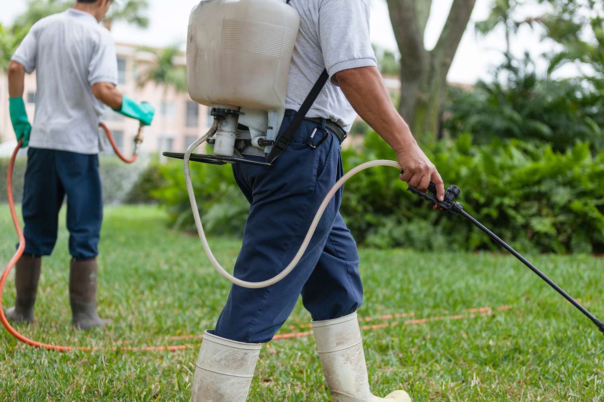 Safeguarding Profits: Why Every Business Needs Pest Control