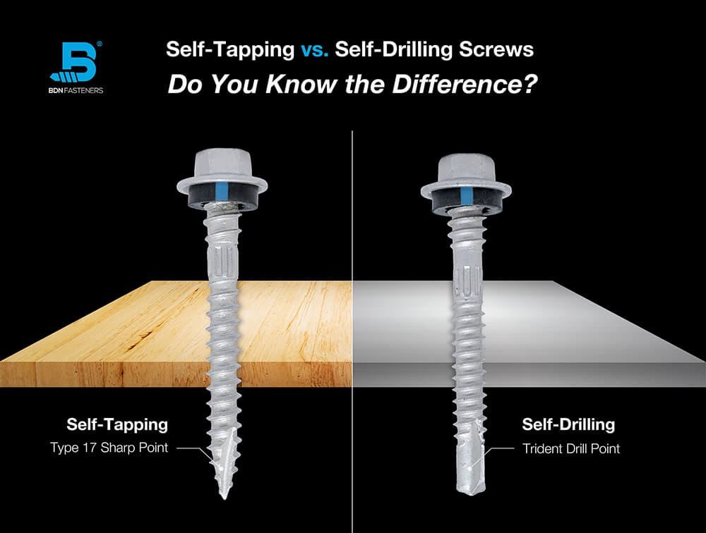 All You Need to Know About Self-Tapping Screws