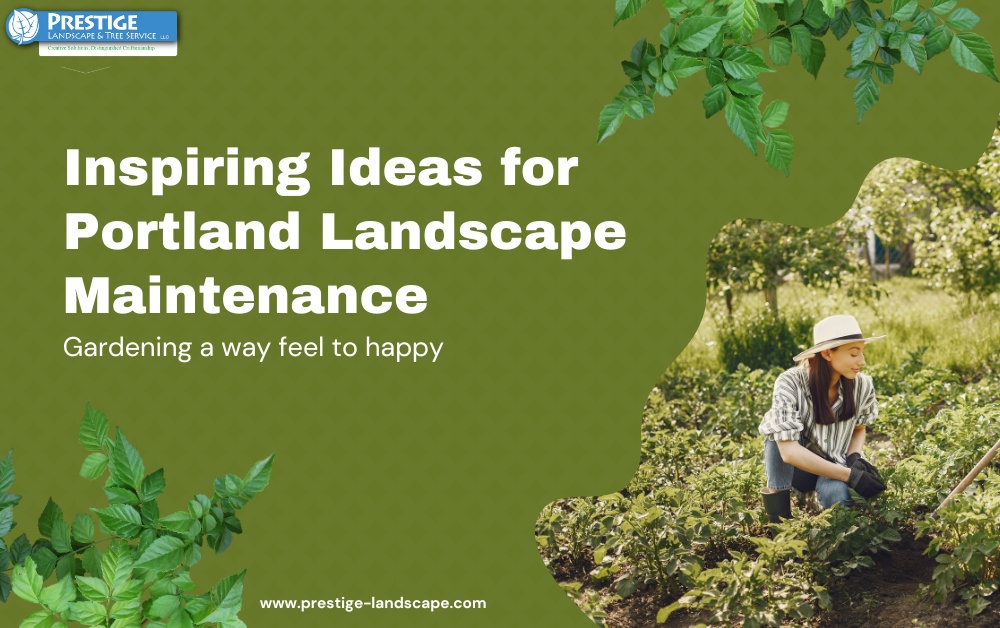 Inspiring Ideas for Portland Landscape Maintenance