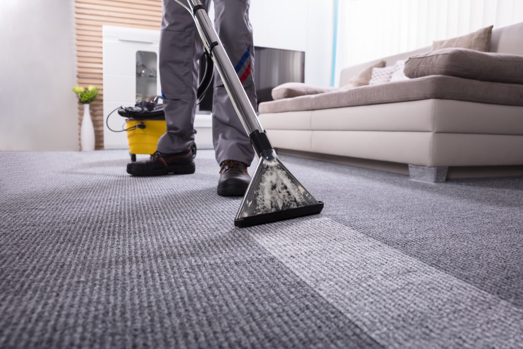 The Carpet Connoisseur: Mastering the Art of Spotless Floors